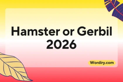 Hamster or Gerbil