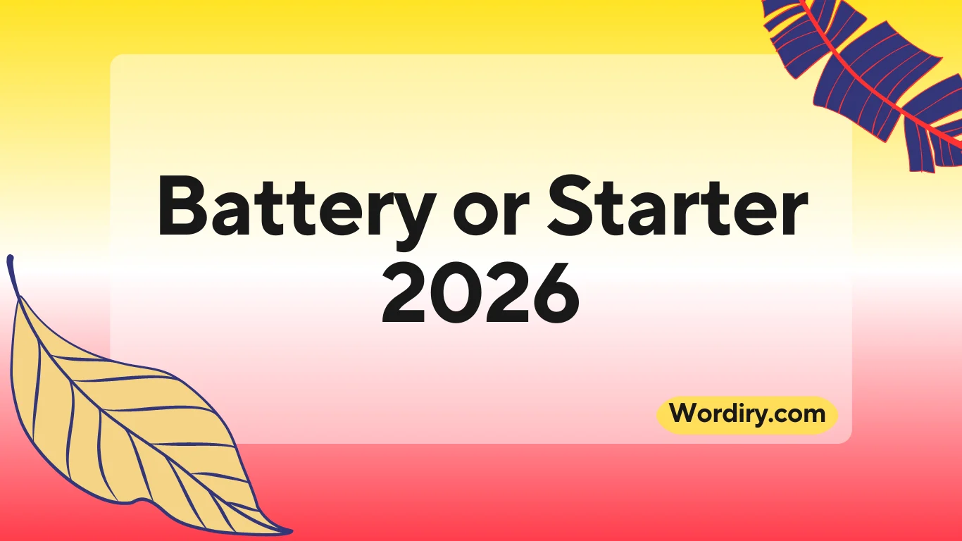 Battery or Starter