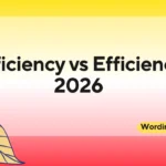 Efficiency vs Efficiency