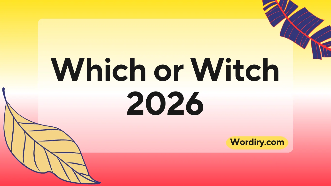 Which or Witch