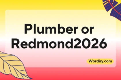 Plumber or Redmond