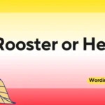 Rooster or Hen