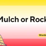 Mulch or Rocks