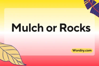 Mulch or Rocks
