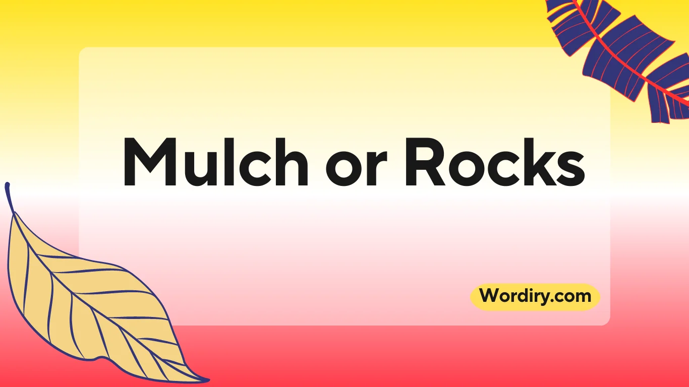 Mulch or Rocks