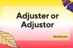 Adjuster or Adjustor