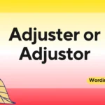 Adjuster or Adjustor