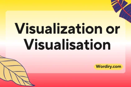 Visualization or Visualisation