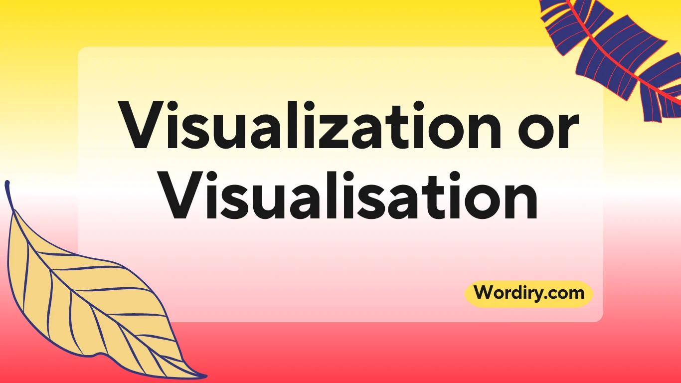 Visualization or Visualisation