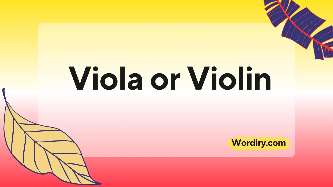Viola or Violin